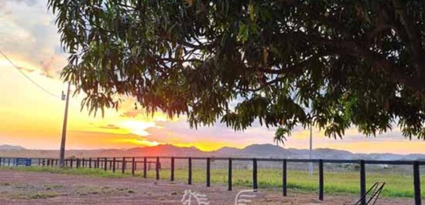Fazenda à Venda 1.936 Has Pecuária Intensiva | Confresa e Vila Rica/ MT