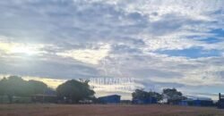 Fazenda à Venda 1.936 Has Pecuária Intensiva | Confresa e Vila Rica/ MT