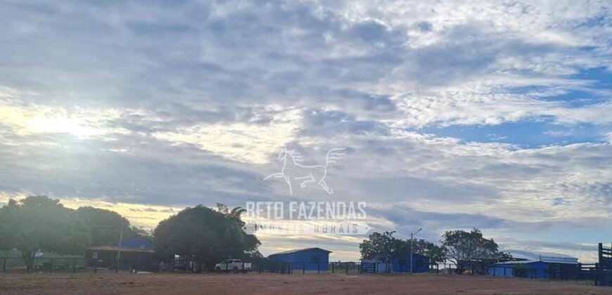 Fazenda à Venda 1.936 Has Pecuária Intensiva | Confresa e Vila Rica/ MT