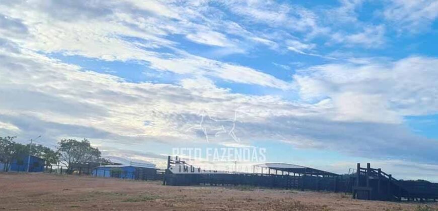 Fazenda à Venda 1.936 Has Pecuária Intensiva | Confresa e Vila Rica/ MT
