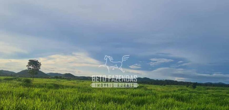 Fazenda à Venda 1.936 Has Pecuária Intensiva | Confresa e Vila Rica/ MT
