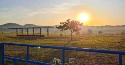Fazenda à Venda 1.936 Has Pecuária Intensiva | Confresa e Vila Rica/ MT