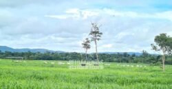 Fazenda à Venda 1.936 Has Pecuária Intensiva | Confresa e Vila Rica/ MT