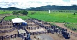 Fazenda à Venda 1.936 Has Pecuária Intensiva | Confresa e Vila Rica/ MT