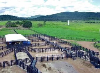 Fazenda à Venda 1.936 Has Pecuária Intensiva | Confresa e Vila Rica/ MT