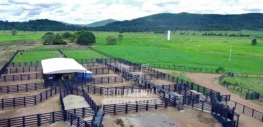 Fazenda à Venda 1.936 Has Pecuária Intensiva | Confresa e Vila Rica/ MT