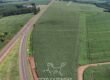 Fazenda Soja e Milho à Venda 4.490 Hectares c/ Usinas Fotovoltaicas | Santa Fé de Goiás/GO