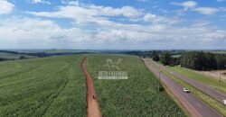 Fazenda Soja e Milho à Venda 4.490 Hectares c/ Usinas Fotovoltaicas | Santa Fé de Goiás/GO