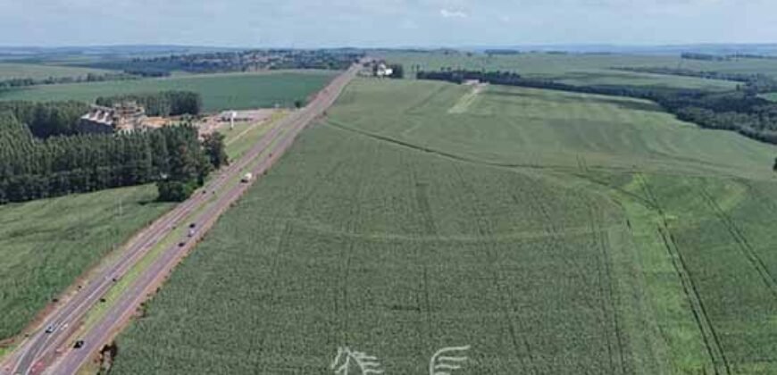 Fazenda Soja e Milho à Venda 4.490 Hectares c/ Usinas Fotovoltaicas | Santa Fé de Goiás/GO