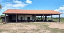 Fazenda à Venda 88.945 hectares Pecuária Estrutura Completa | Paconé/MT