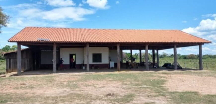 Fazenda à Venda 88.945 hectares Pecuária Estrutura Completa | Paconé/MT