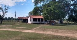 Fazenda à Venda 88.945 hectares Pecuária Estrutura Completa | Paconé/MT