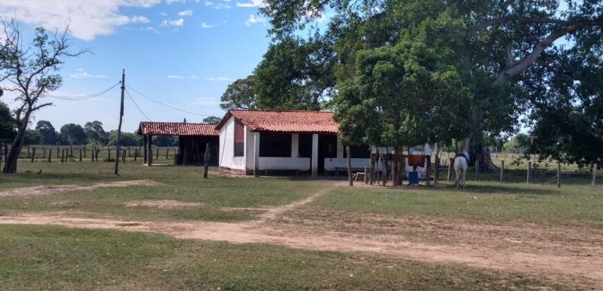 Fazenda à Venda 88.945 hectares Pecuária Estrutura Completa | Paconé/MT