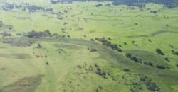 Fazenda à Venda 88.945 hectares Pecuária Estrutura Completa | Paconé/MT