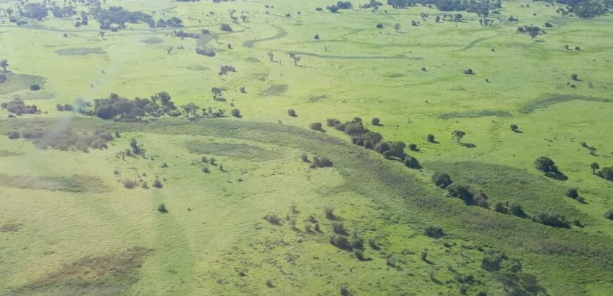 Fazenda à Venda 88.945 hectares Pecuária Estrutura Completa | Paconé/MT