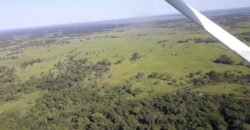 Fazenda à Venda 88.945 hectares Pecuária Estrutura Completa | Paconé/MT