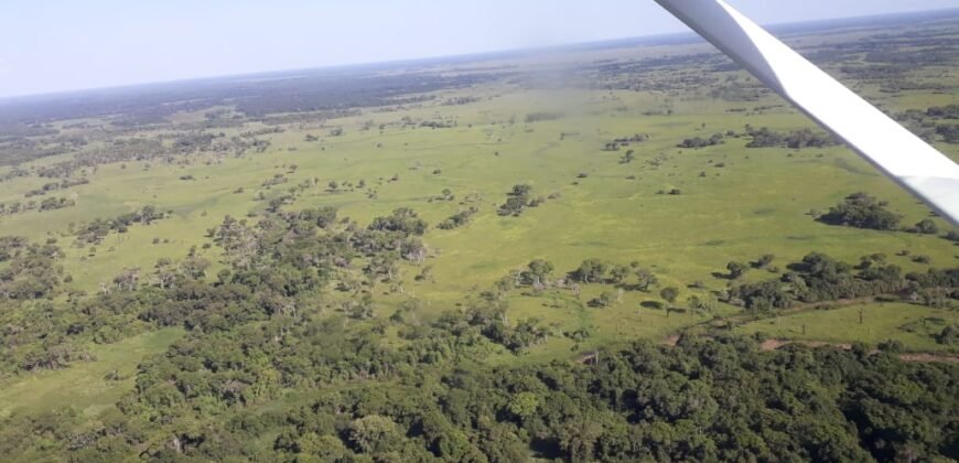 Fazenda à Venda 88.945 hectares Pecuária Estrutura Completa | Paconé/MT