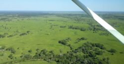 Fazenda à Venda 88.945 hectares Pecuária Estrutura Completa | Paconé/MT