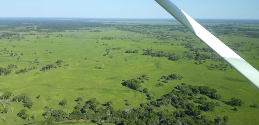 Fazenda à Venda 88.945 hectares Pecuária Estrutura Completa | Paconé/MT