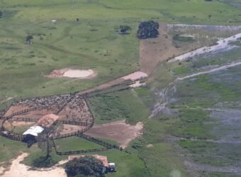 Fazenda à Venda 88.945 hectares Pecuária Estrutura Completa | Paconé/MT