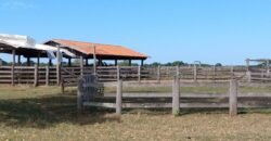 Fazenda à Venda 88.945 hectares Pecuária Estrutura Completa | Paconé/MT