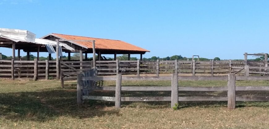 Fazenda à Venda 88.945 hectares Pecuária Estrutura Completa | Paconé/MT