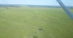 Fazenda à Venda 88.945 hectares Pecuária Estrutura Completa | Paconé/MT