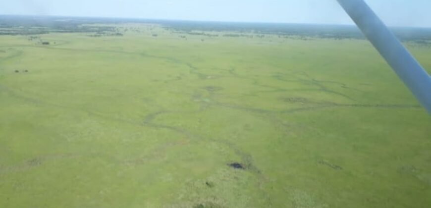 Fazenda à Venda 88.945 hectares Pecuária Estrutura Completa | Paconé/MT