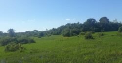 Fazenda à Venda 88.945 hectares Pecuária Estrutura Completa | Paconé/MT