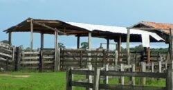 Fazenda à Venda 88.945 hectares Pecuária Estrutura Completa | Paconé/MT