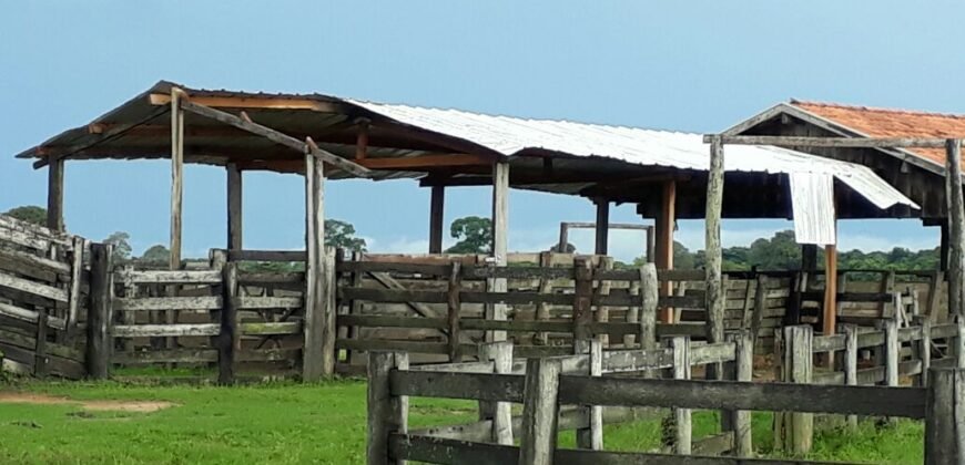 Fazenda à Venda 88.945 hectares Pecuária Estrutura Completa | Paconé/MT