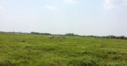 Fazenda à Venda 88.945 hectares Pecuária Estrutura Completa | Paconé/MT