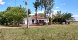Fazenda à Venda 88.945 hectares Pecuária Estrutura Completa | Paconé/MT