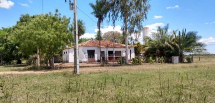 Fazenda à Venda 88.945 hectares Pecuária Estrutura Completa | Paconé/MT