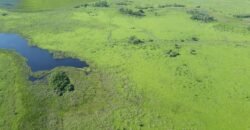 Fazenda à Venda 88.945 hectares Pecuária Estrutura Completa | Paconé/MT