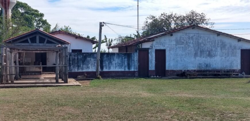 Fazenda à Venda 88.945 hectares Pecuária Estrutura Completa | Paconé/MT