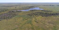 Fazenda à Venda 88.945 hectares Pecuária Estrutura Completa | Paconé/MT