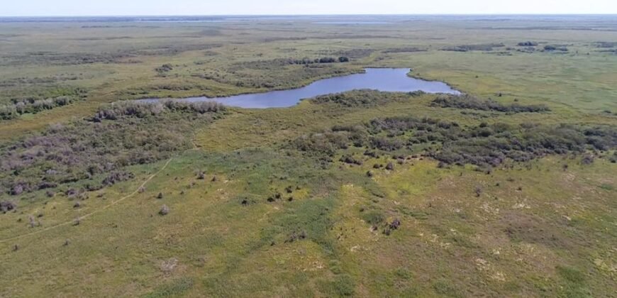 Fazenda à Venda 88.945 hectares Pecuária Estrutura Completa | Paconé/MT