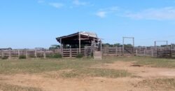 Fazenda à Venda 88.945 hectares Pecuária Estrutura Completa | Paconé/MT