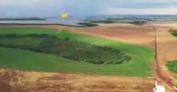 Fazenda de Soja à Venda 692 hectares às Margens da Represa de Sertajena | Londrina/ PR