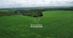 Fazenda de Soja à Venda 6.000 hectares Estrutura Completa | Fortaleza dos Nogueiras/ MA