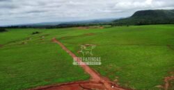 Fazenda de Soja à Venda 6.000 hectares Estrutura Completa | Fortaleza dos Nogueiras/ MA
