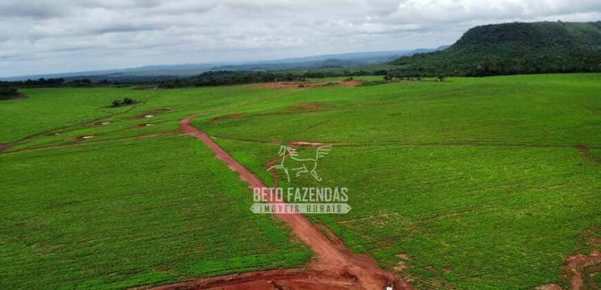 Fazenda de Soja à Venda 6.000 hectares Estrutura Completa | Fortaleza dos Nogueiras/ MA