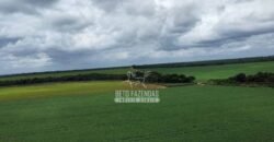 Fazenda de Soja à Venda 6.000 hectares Estrutura Completa | Fortaleza dos Nogueiras/ MA