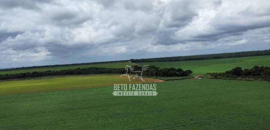 Fazenda de Soja à Venda 6.000 hectares Estrutura Completa | Fortaleza dos Nogueiras/ MA