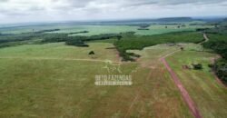 Fazenda de Soja à Venda 6.000 hectares Estrutura Completa | Fortaleza dos Nogueiras/ MA