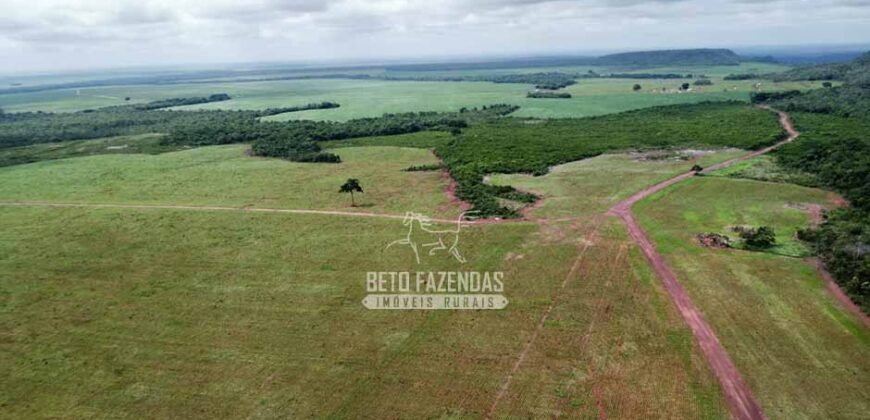 Fazenda de Soja à Venda 6.000 hectares Estrutura Completa | Fortaleza dos Nogueiras/ MA