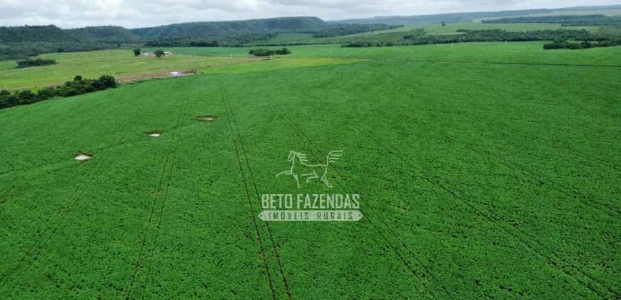 Fazenda de Soja à Venda 6.000 hectares Estrutura Completa | Fortaleza dos Nogueiras/ MA