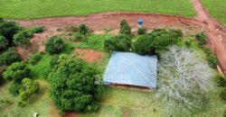 Fazenda de Soja à Venda 6.000 hectares Estrutura Completa | Fortaleza dos Nogueiras/ MA