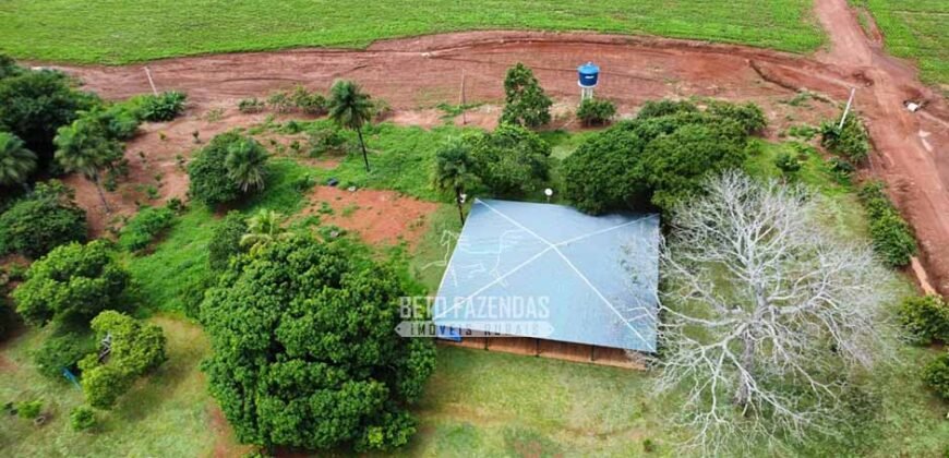 Fazenda de Soja à Venda 6.000 hectares Estrutura Completa | Fortaleza dos Nogueiras/ MA